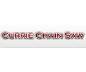 Currie Chain Saw, Inc. logo