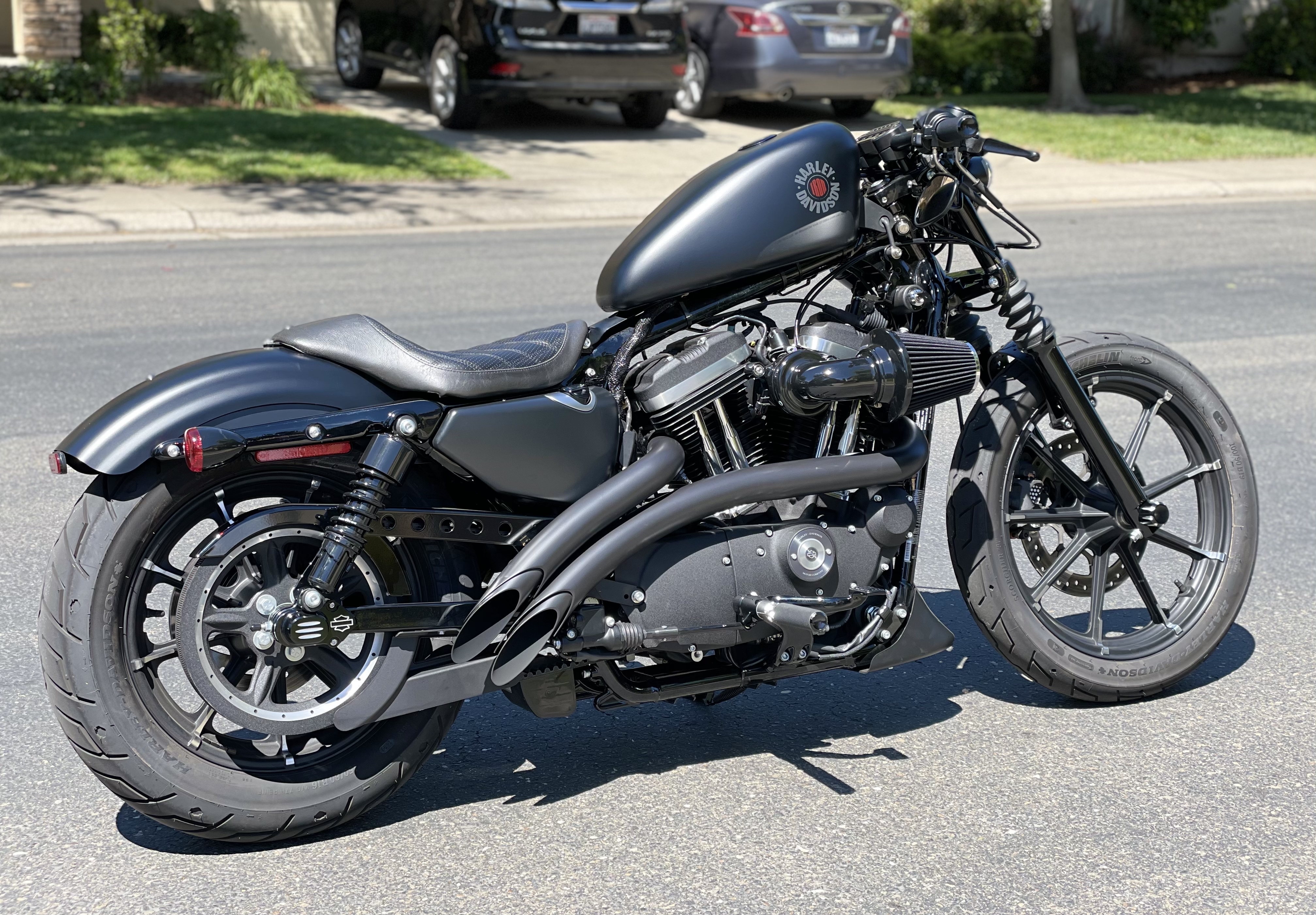 الاستحمام إسبانيا ازياء خاصة harley 883 custom usata amazon -  okukaunyafoundation.org