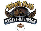 Dealer logo image