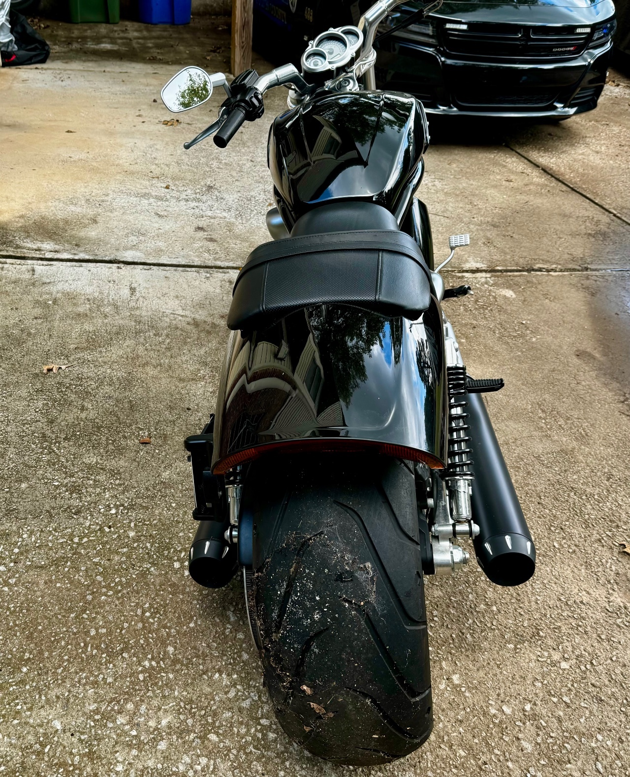 georgia harley dealers