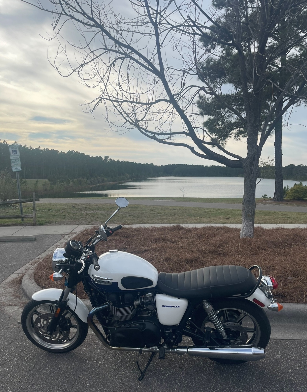 Used 2014 Triumph Bonneville For Sale in Wilmington, NC 5030243121