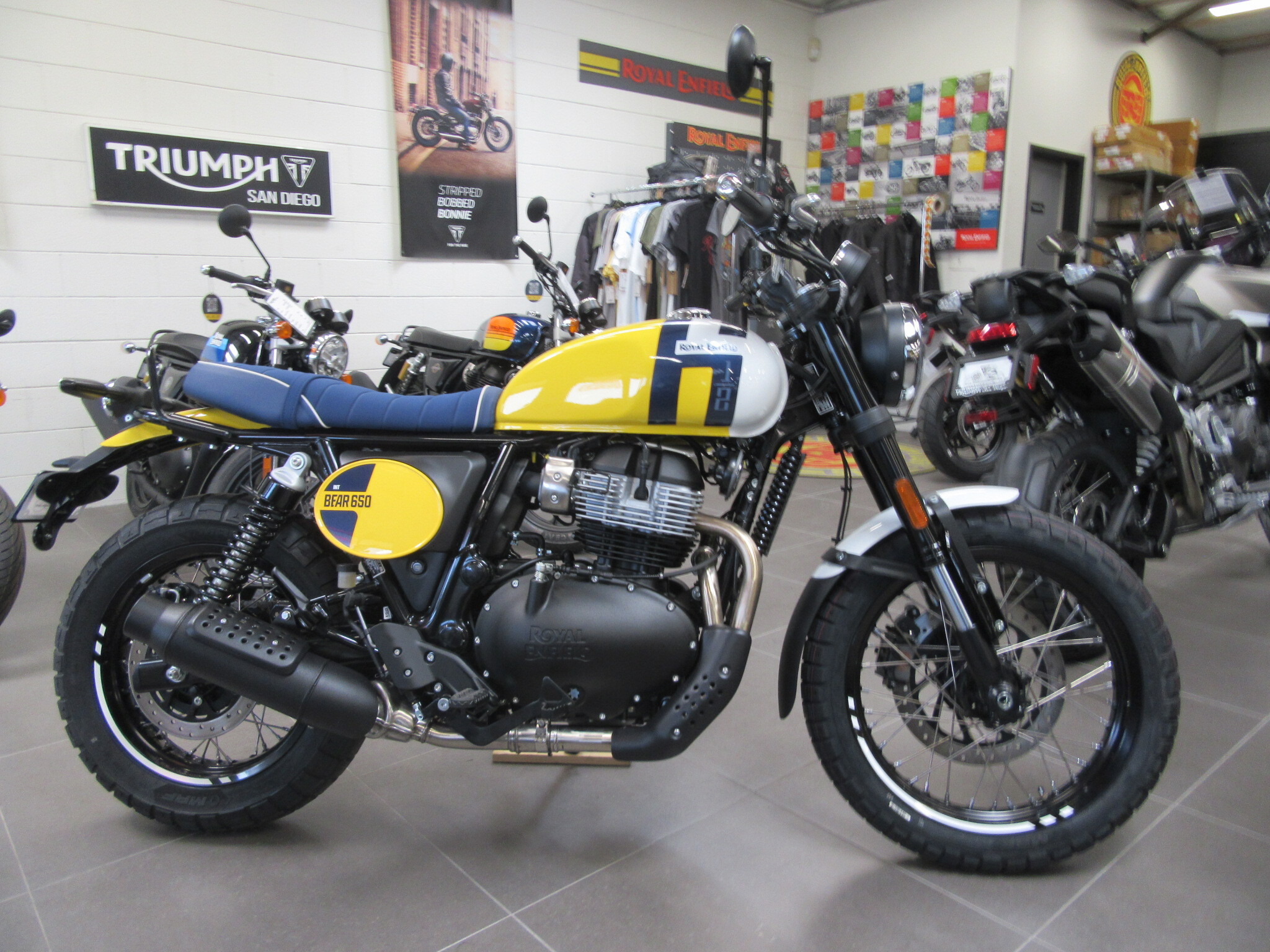 2025 ROYAL ENFIELD INT BEAR 650-WILD HONEY YELLOW